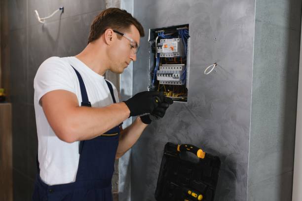 Best Generator Installation Services  in Hamilton, AL