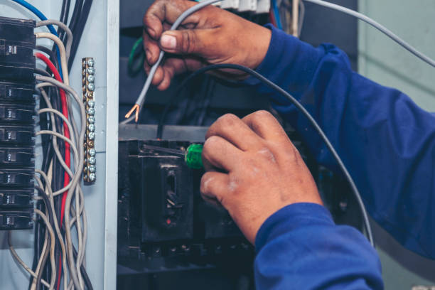 Best Affordable Electrician  in Hamilton, AL