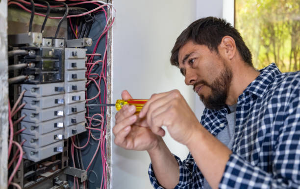 Best Electrical Upgrades for Homes  in Hamilton, AL